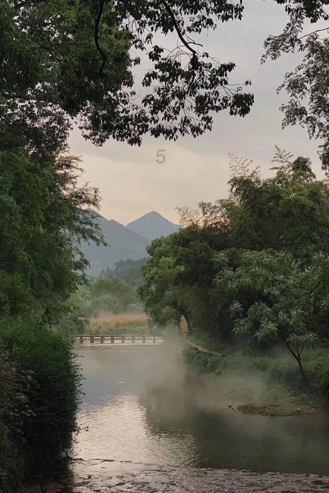 寻找沙漠珍宝